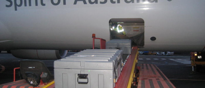 Spacecase loaded onto Qantas plane
